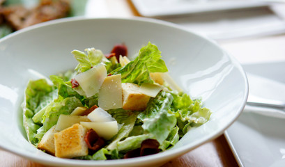 Caesar salad on modern white plate