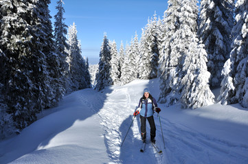 Fototapeta na wymiar Back country skier (ski touring)