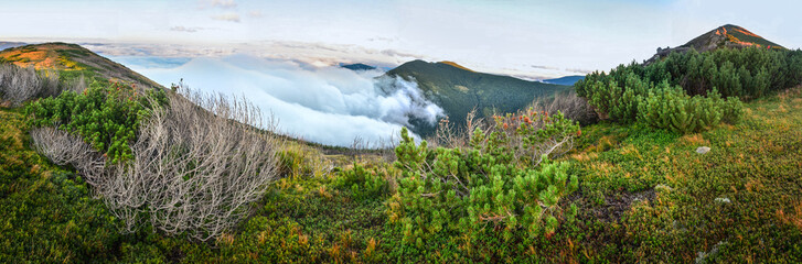 Above the clouds mountain panorama - 70726419