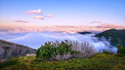 Above the clouds mountain panorama - 70726442