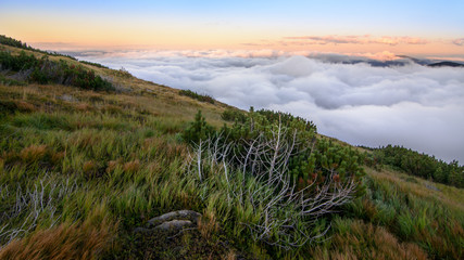 Above the clouds mountain panorama - 70726454