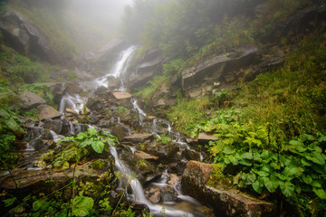 Foggy  forest waterfall - 70726494