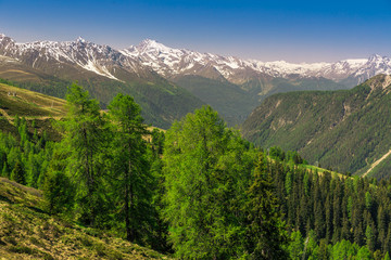 View to Swiss Alps from the top of  Rinerhorn mountain, Davos, S