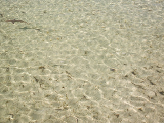 mer seychelles
