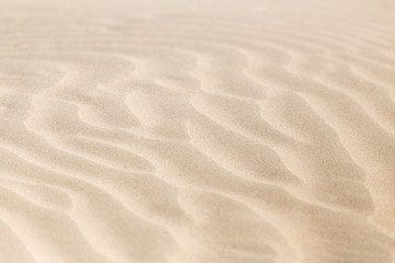 beautiful background of sand in the desert - obrazy, fototapety, plakaty