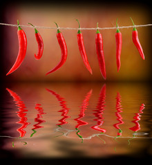 Czerwone papryczki wiszące na sznurku © CUKMEN