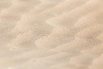 Fototapeta na wymiar beautiful background of sand in the desert
