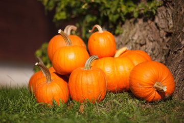 Pumpkins