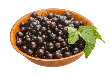 Black currant