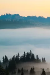 Papier Peint photo Forêt dans le brouillard Coucher de soleil majestueux dans le paysage des montagnes. Carpates, Ukraine