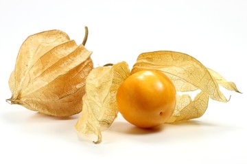 Physalis isoliert auf weißem Hintergrund