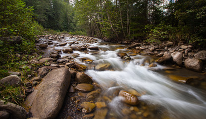 Fototapeta na wymiar Beautiful view of mountain river in summer