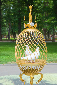 Two white pigeons sitting in a beautiful cage