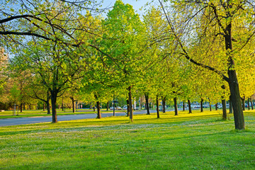 Frühling