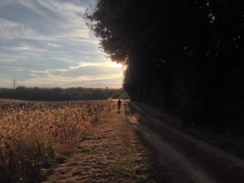girl cycling in rge field