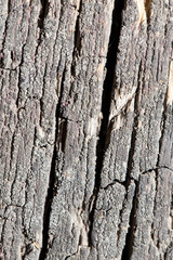 old wooden background