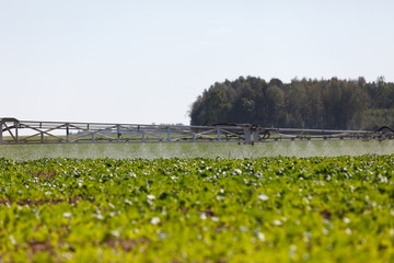 Agricultural chemical sprayer