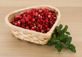 Cowberry