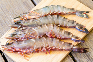 Four fresh whole tiger prawns