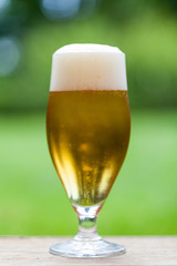 Elegant glass of cold refreshing beer