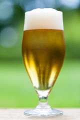 Elegant glass of cold refreshing beer