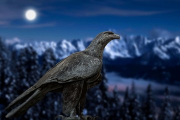 Adler / Winterwald