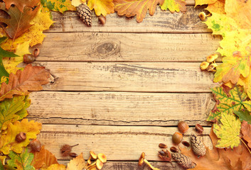 Autumn background with leafs and acorns on wooden board