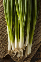 Organic Healthy Green Onion