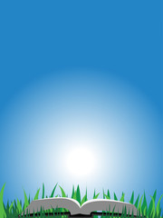 Fototapeta na wymiar Book on grass ,on a white-blue background