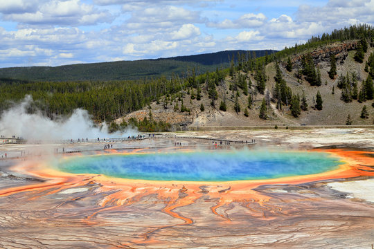 Grand Prismatic Spring In Yellowstone National Park