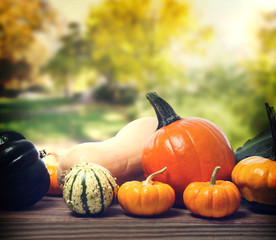 Pumpkins and squashes