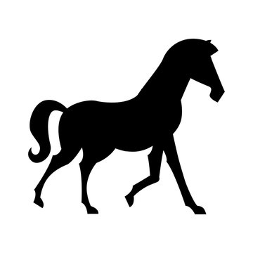 horse design