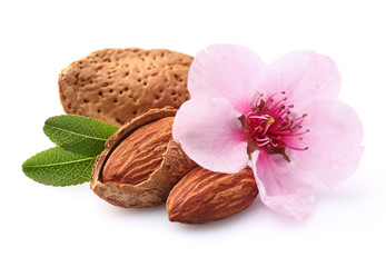 Almonds with flower