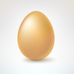 Brown egg, isolated on white background