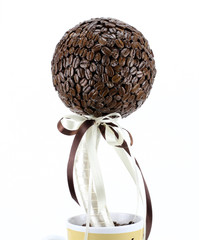 coffee bowl, the coffee tree