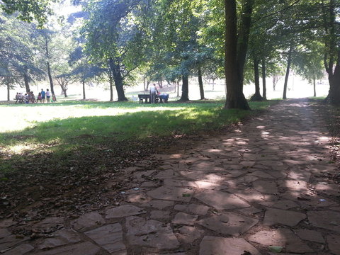 Domingo soleado