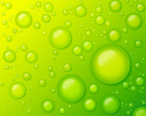Water Drops on Green Background Abstract
