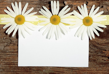 Obraz premium Greeting post card