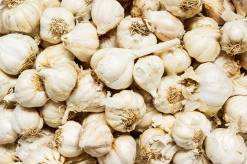 white garlic