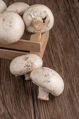 Champignons in a wooden box