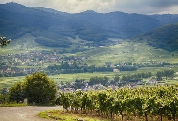 country side of Alsace region