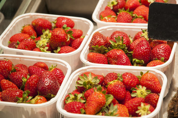 very large sweet red strawberries