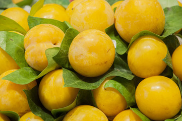 pile of yellow plums
