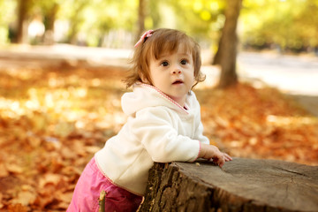 Beautiful little girl with autumn leaves in the beauty park