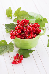 Fresh red currant