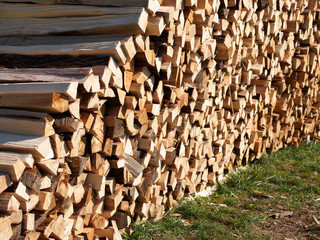 Frisches Brennholz