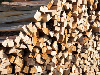 Frisches Brennholz