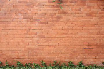 brick wall texture background