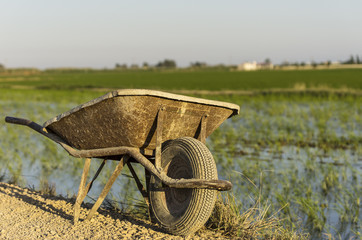Delta de l'Ebre 2013