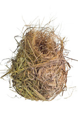 Bird 's nest